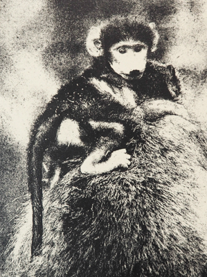 Das Foto zeigt eine Monotypie, ein Foto, das von Hand auf einer Gel-Platte gedruckt wurde. Darauf zu sehen ist ein Pavian-Junges, das sich im Fell der Mutter festklammert. Das Foto wurde von der Künstlerin Heike Pander aufgenommen und als Monotypie umgesetzt.