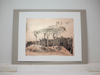 Das Foto zeigt eine Monotypie, ein Foto, das von der Künstlerin Heike Pander von Hand auf einer Gel-Platte gedruckt wurde. Darauf zu sehen sind Windflüchter, also Bäume an einer Küste, wie sie am Weststrand von Prerow an der Ostsee gedeihen. Die Grundlage für die Monotypie bildet ein Foto, das die Künstlerin am Strand aufgenommen hat. Das Motiv ist schwarz gedruckt, der Hintergrund in Bronze.