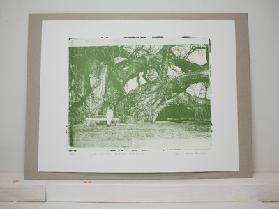 Das Foto zeigt eine Monotypie, ein Foto, das von der Künstlerin Heike Pander von Hand auf einer Gel-Platte gedruckt wurde. Darauf zu sehen ist ein Baobab, ein Affenbrotbaum in Südafrika. Der Baum wird von den Einheimischen Sagole Big Tree genannt. Auf dem Bild ist ein Drittel des Baumes zu sehen. Vor ihm sitzt eine Person auf einer Bank. Die Grundlage für die Monotypie bildet ein Foto, das die Künstlerin vor Ort aufgenommen hat. Das Motiv ist in grün gedruckt, der Hintergrund ist weiß.