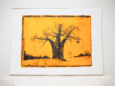 Das Foto zeigt eine Monotypie, ein Foto, das von der Künstlerin Heike Pander von Hand auf einer Gel-Platte gedruckt wurde. Darauf zu sehen ist ein Baobab, ein Affenbrotbaum in Südafrika. Die Grundlage für die Monotypie bildet ein Foto, das die Künstlerin vor Ort aufgenommen hat. Das Motiv ist in schwarz gedruckt, der Hintergrund ist leuchtend gelb.