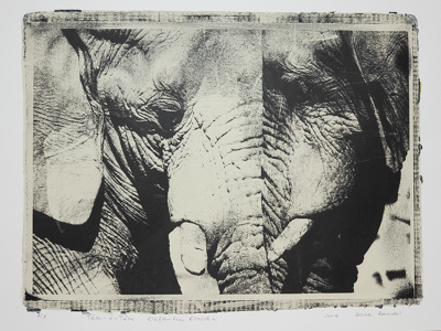 Gel-Druck von einer Fotografie der Künstlerin Heike Pander. Auf dem Unikat sind zwei Kopf an Kopf stehende Elefanten zu sehen in den Farben Schwarz und Beige.