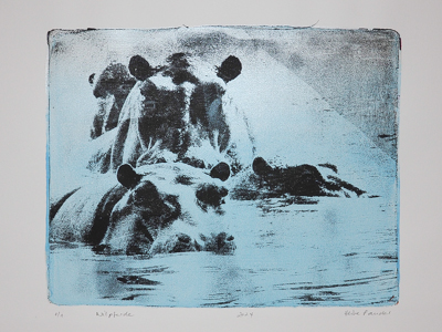 Das Bild zeigt eine von Hand gedruckte Fotografie der Künstlerin Heike Pander. Auf dem Unikat sind Nilpferde zu sehen in den Farben Schwarz und Blau.