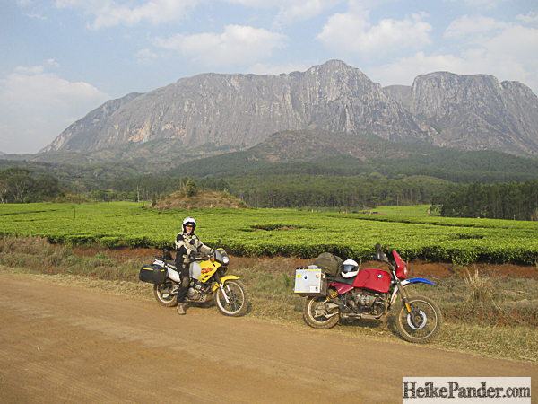 Teeplantagen, Mulanje, Malawi