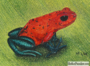 Rotblauer Frosch, Pastellkreiden, Heike Pander