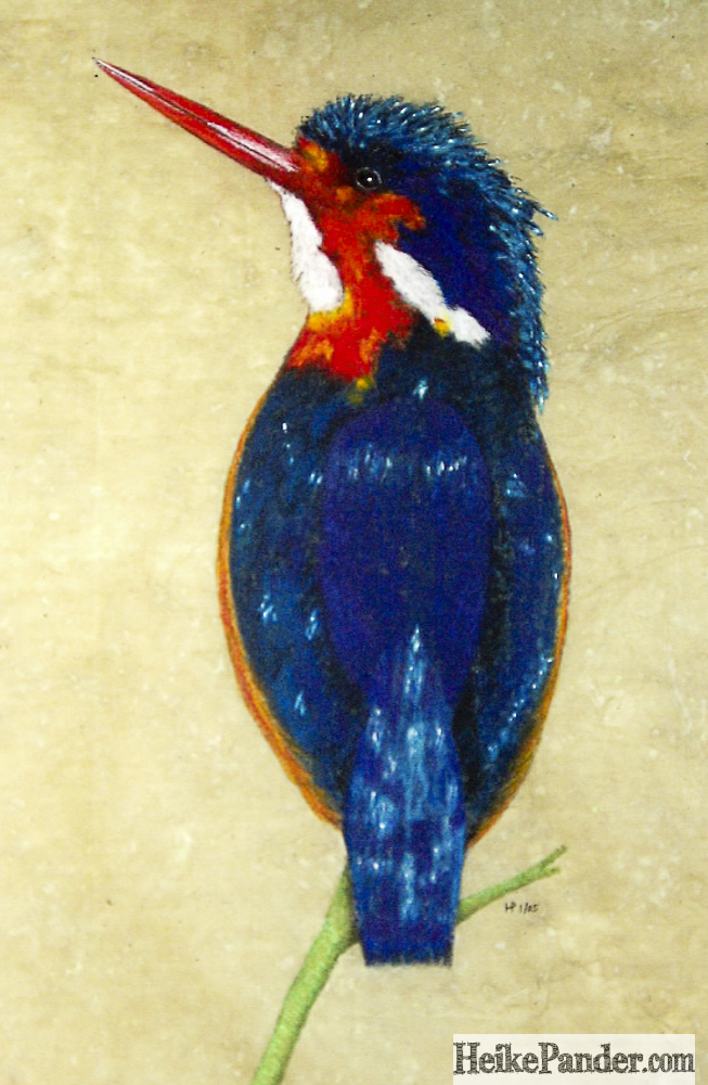 Kingfisher, Pastellkreide, Heike Pander