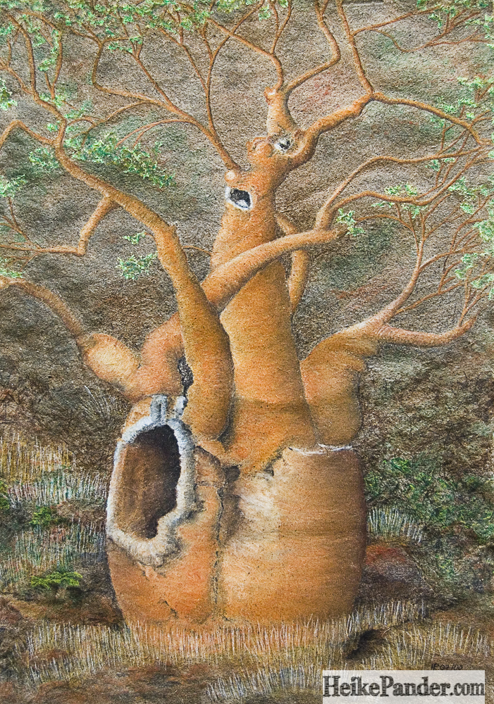 Baobab, Pastellkreiden, Heike Pander