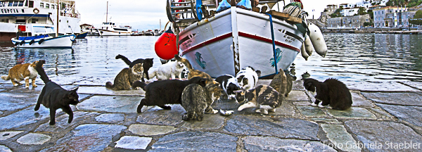 Katzen am Fischerboot, Hydra, Gabriela Staebler