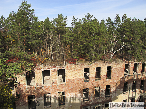 Baumkronenpfad, Beelitz