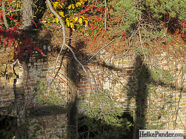 Schatten auf Ruine, Baumkronenpfad Beelitz