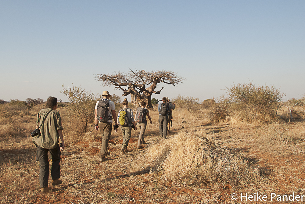 [:de Wildniswanderung, Mashatu, Botswana] Hiking in the Wilderness, Mashatu, Botswana