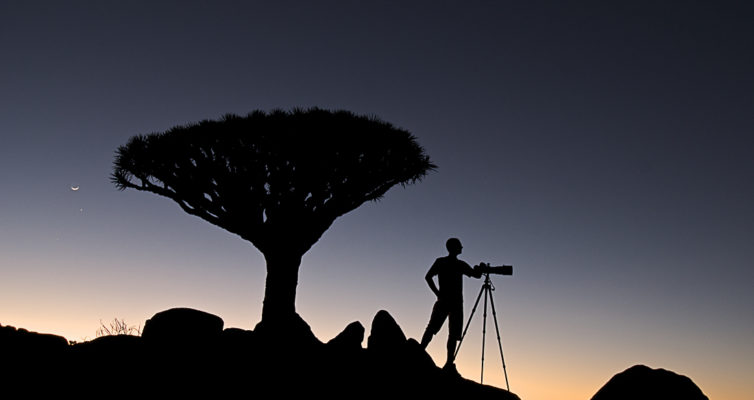 Drachenblutbaum, Haggher, Berge, Sokotra, Jemen, Markus Mauthe