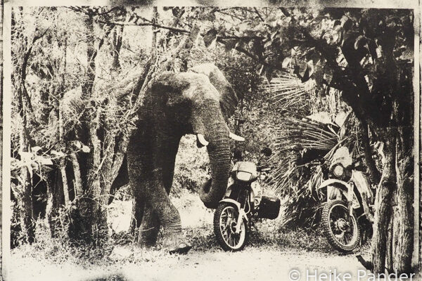 Elefant auf Campingplatz, quetscht sich an Motorrädern vorbei, Copyright Heike Pander