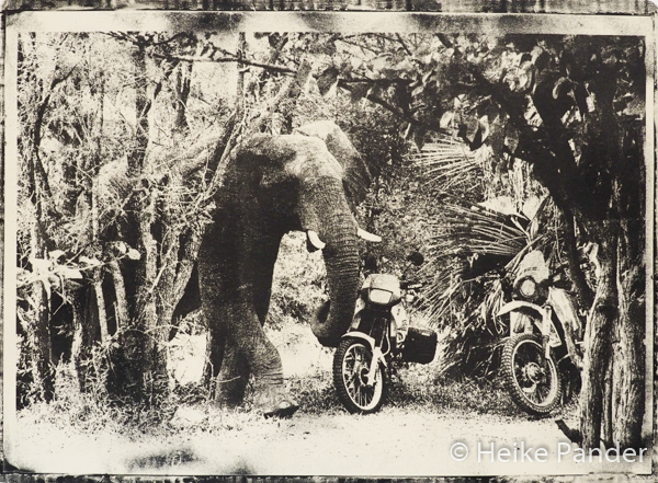 Elefant auf Campingplatz, quetscht sich an Motorrädern vorbei, Copyright Heike Pander