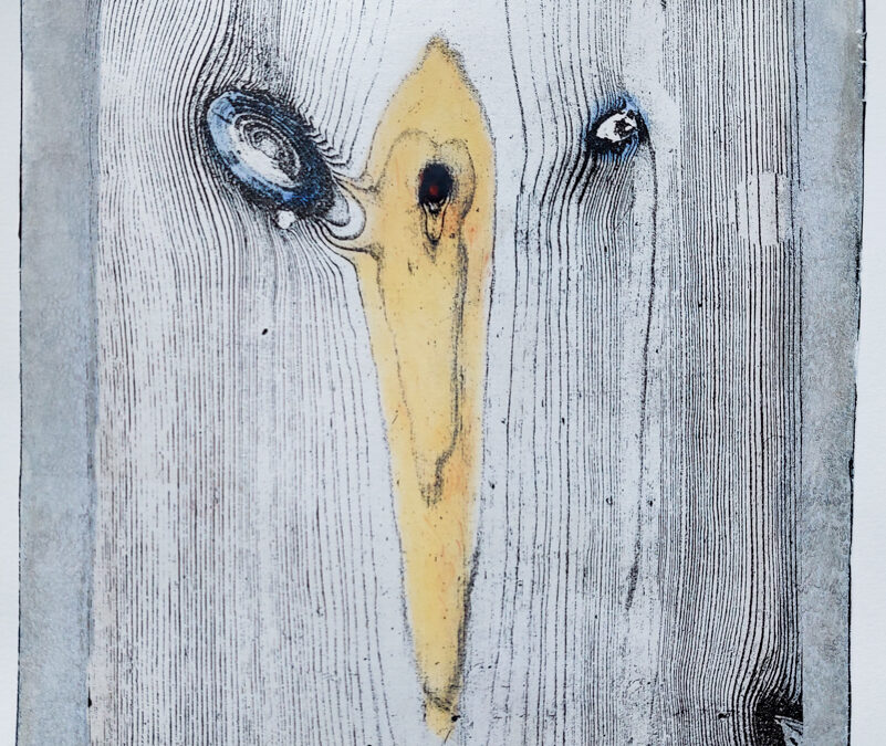 Das Foto zeigt eine Arbeit der Künstlerin Heike Pander. Zu sehen ist ein Foto im Gelatineverfahren (Gel-Print) von Hand gedrucktes Foto, das von der Künstlerin mit PanPastellen koloriert wurde. Es zeigt einen schrägen Vogel.