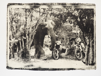 Ausgefallenes Fotogeschenk